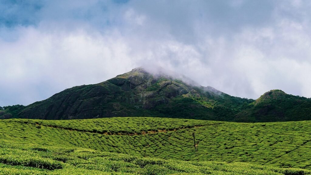 family travel in Munnar