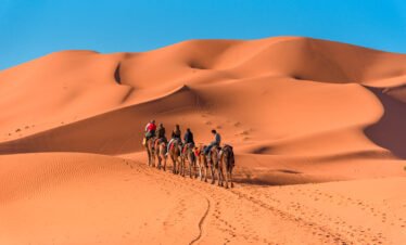 Travel agents in bangalore