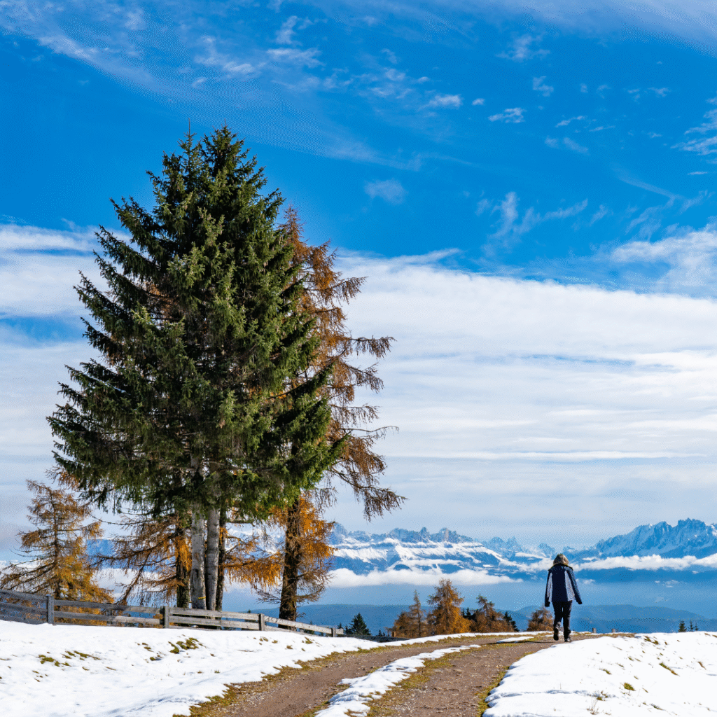 kashmir travel pacakges