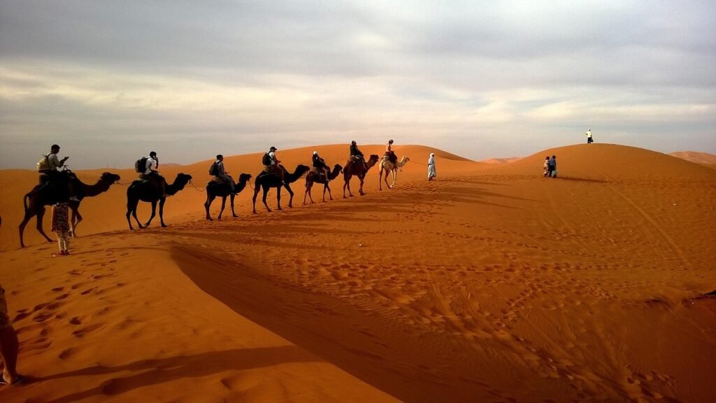 Desert safari